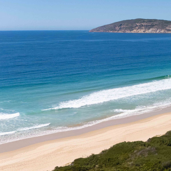 Explore-Plett-Beaches
